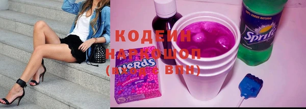 дурь Няндома