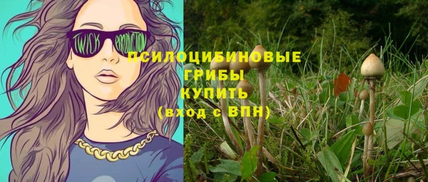дурь Няндома