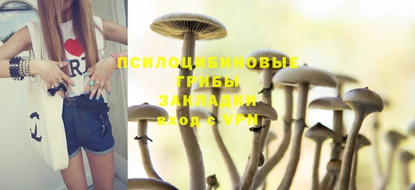 дурь Няндома