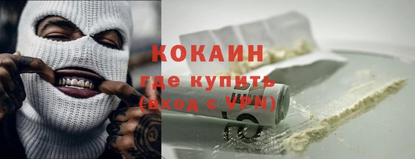 дурь Няндома