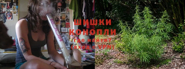 дурь Няндома