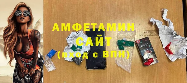 дурь Няндома