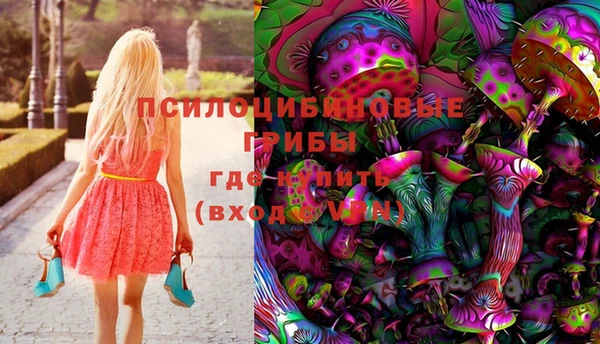 дурь Няндома