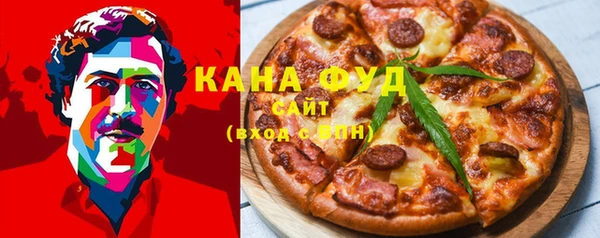 дурь Няндома