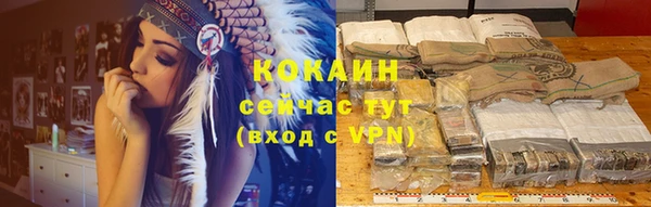 дурь Няндома