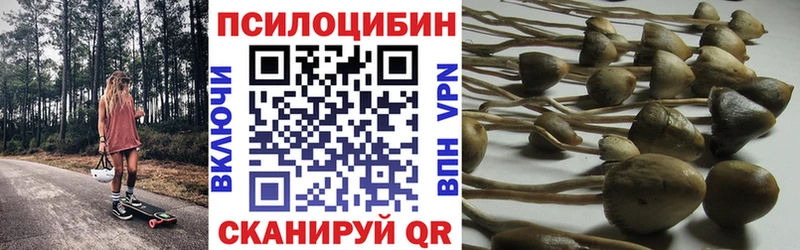 Купить  Дмитровск  Галлюциногенные грибы мицелий 